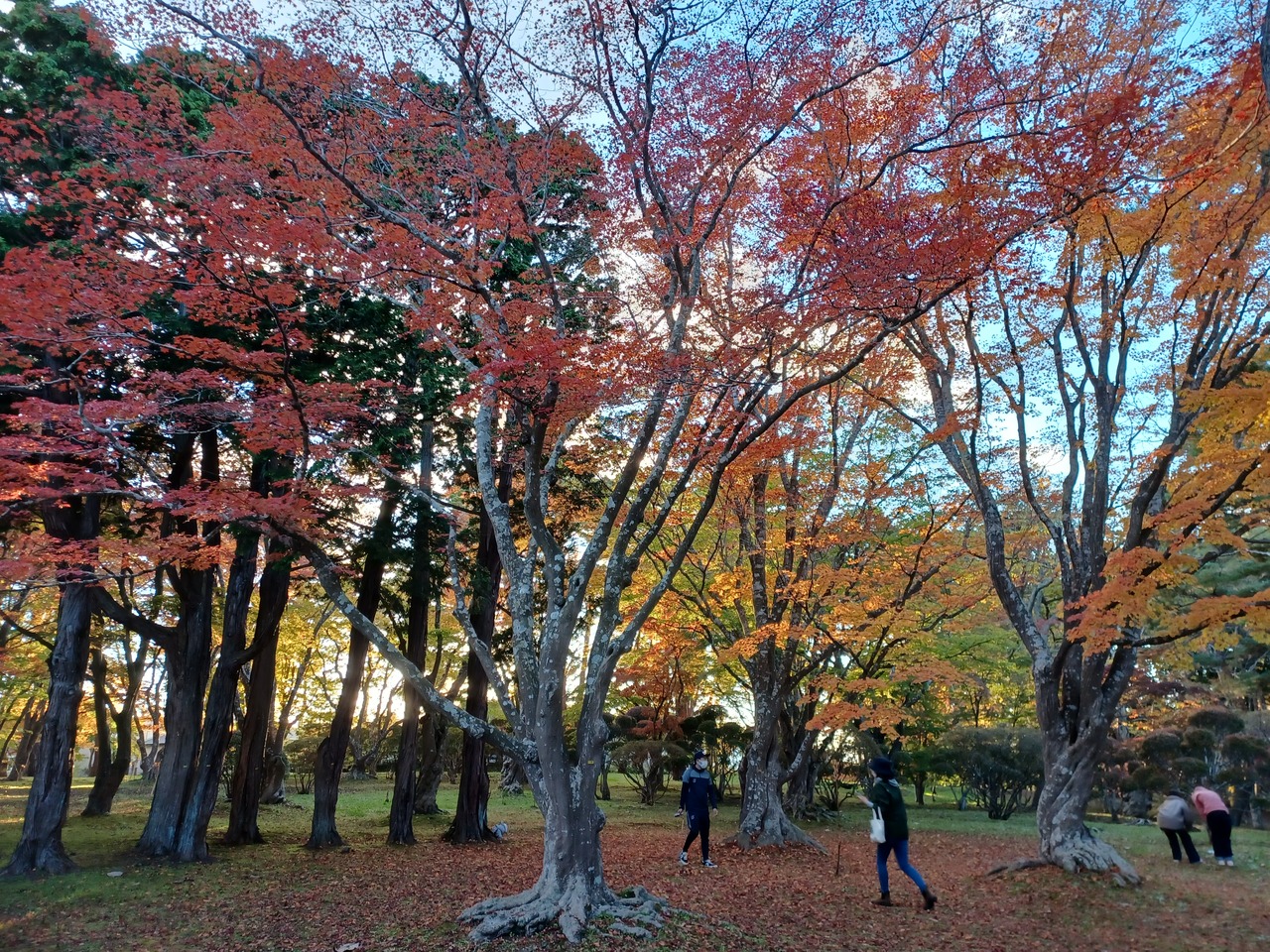 北海道の紅葉のおすすめスポット13位:見晴公園 香雪園