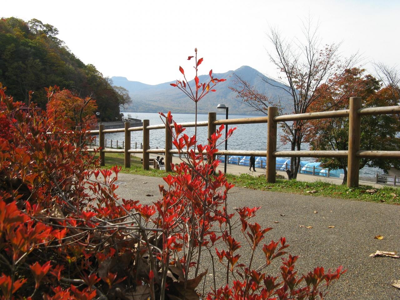北海道の紅葉のおすすめスポット20位:支笏湖