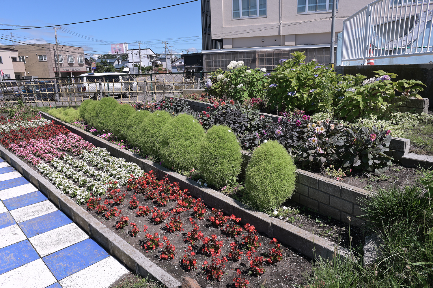 函館のインスタ映えスポットのおすすめ25選　9位:函館市熱帯植物園