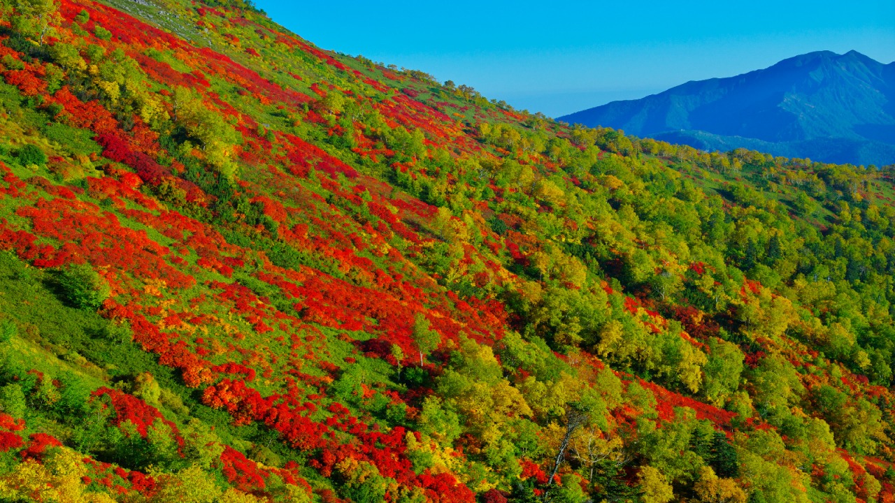 北海道の紅葉のおすすめスポット20選　9位:赤岳 銀泉台