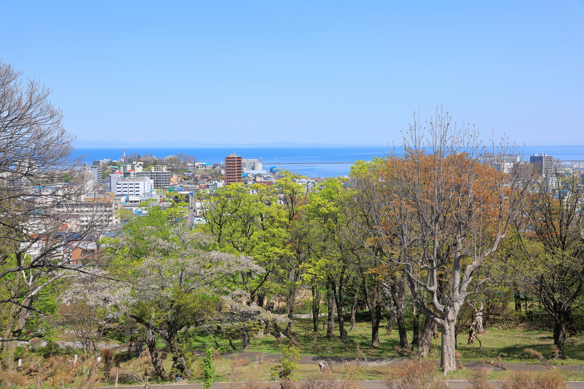小樽観光の絶景スポット20選　12位:小樽公園