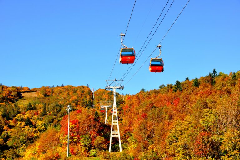 札幌紅葉のおすすめスポットTOP20！