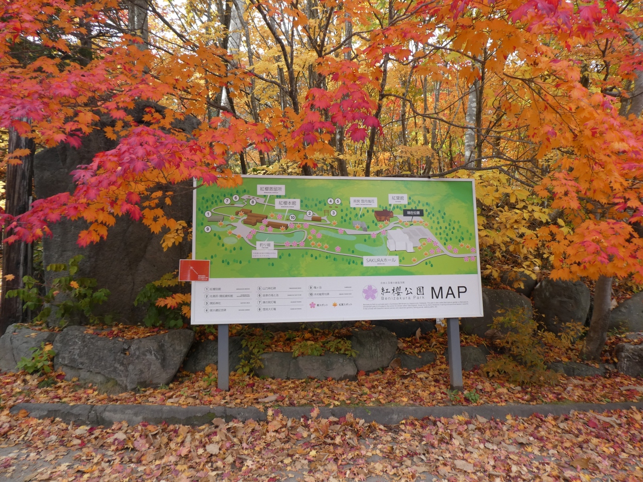 札幌の紅葉のおすすめスポット20選　12位:紅櫻公園