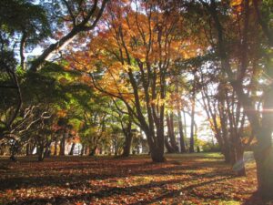 秋の函館旅行おすすめスポットTOP30！