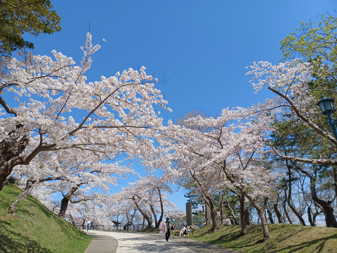 春の函館旅行おすすめスポット30選　11位:函館公園