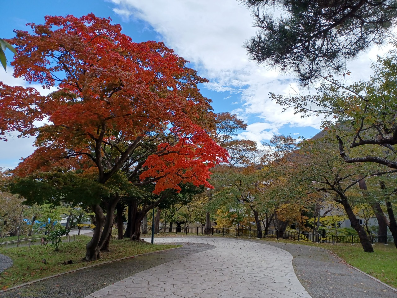秋の函館旅行おすすめスポット30選　7位:函館公園
