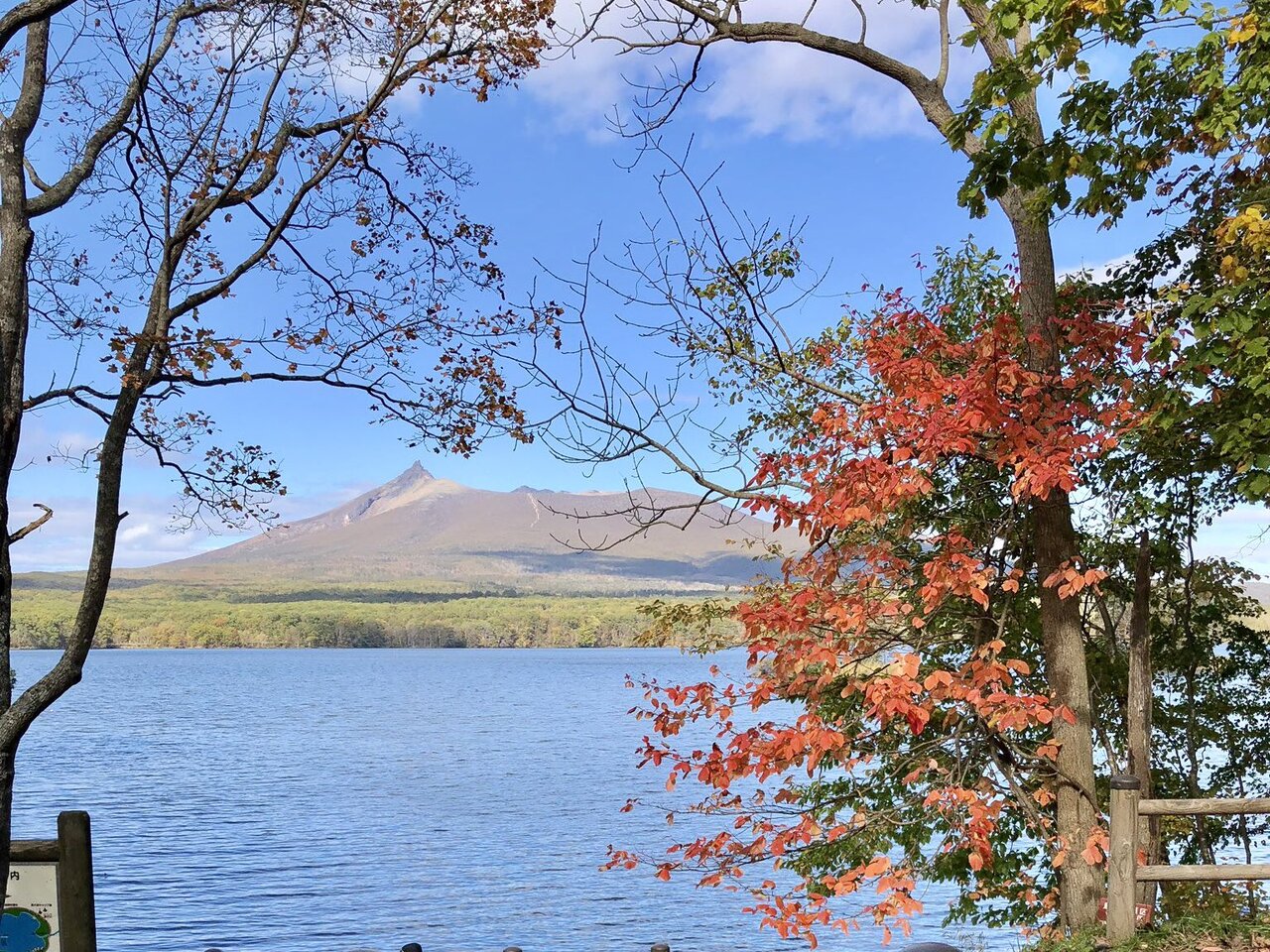 秋の函館旅行おすすめスポット30選　14位:大沼国定公園