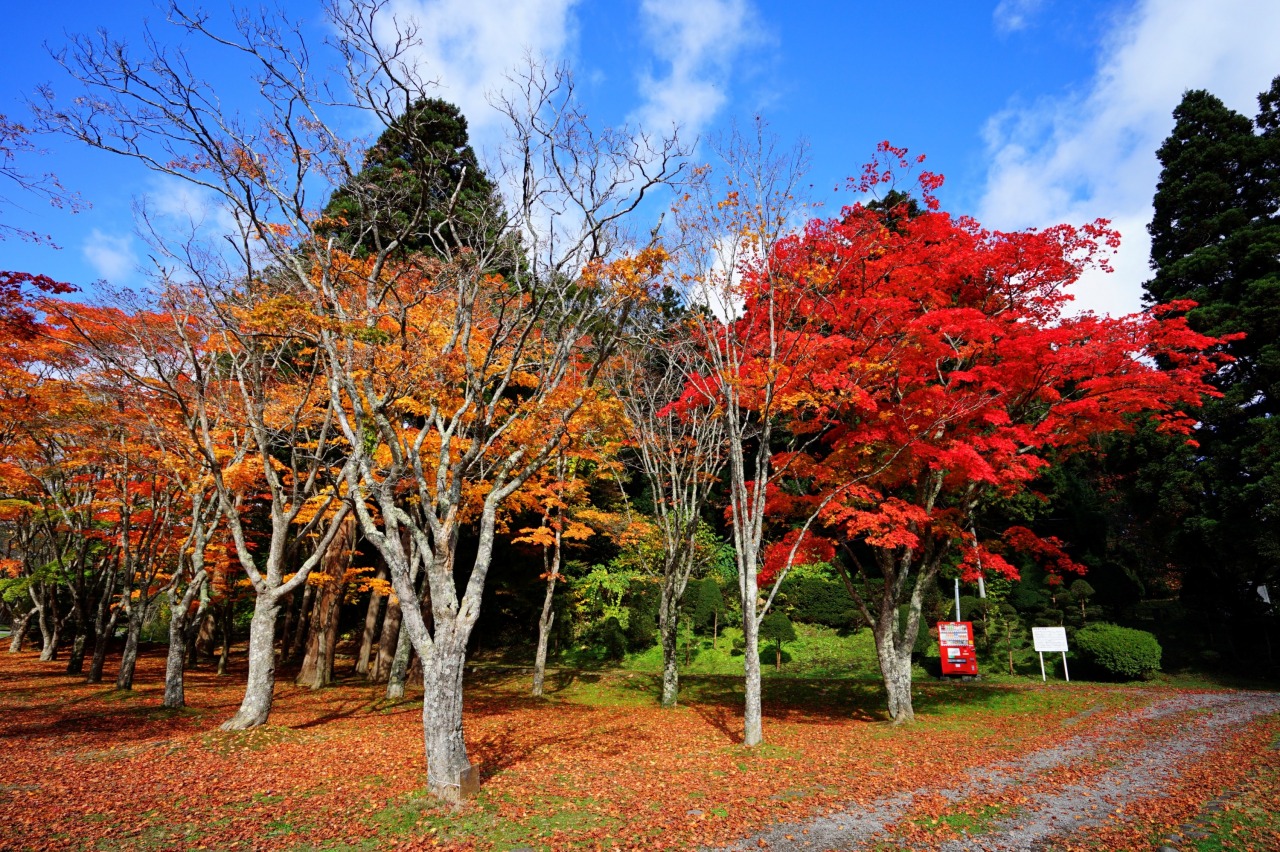 秋の函館旅行おすすめスポット30選　12位:笹流ダム