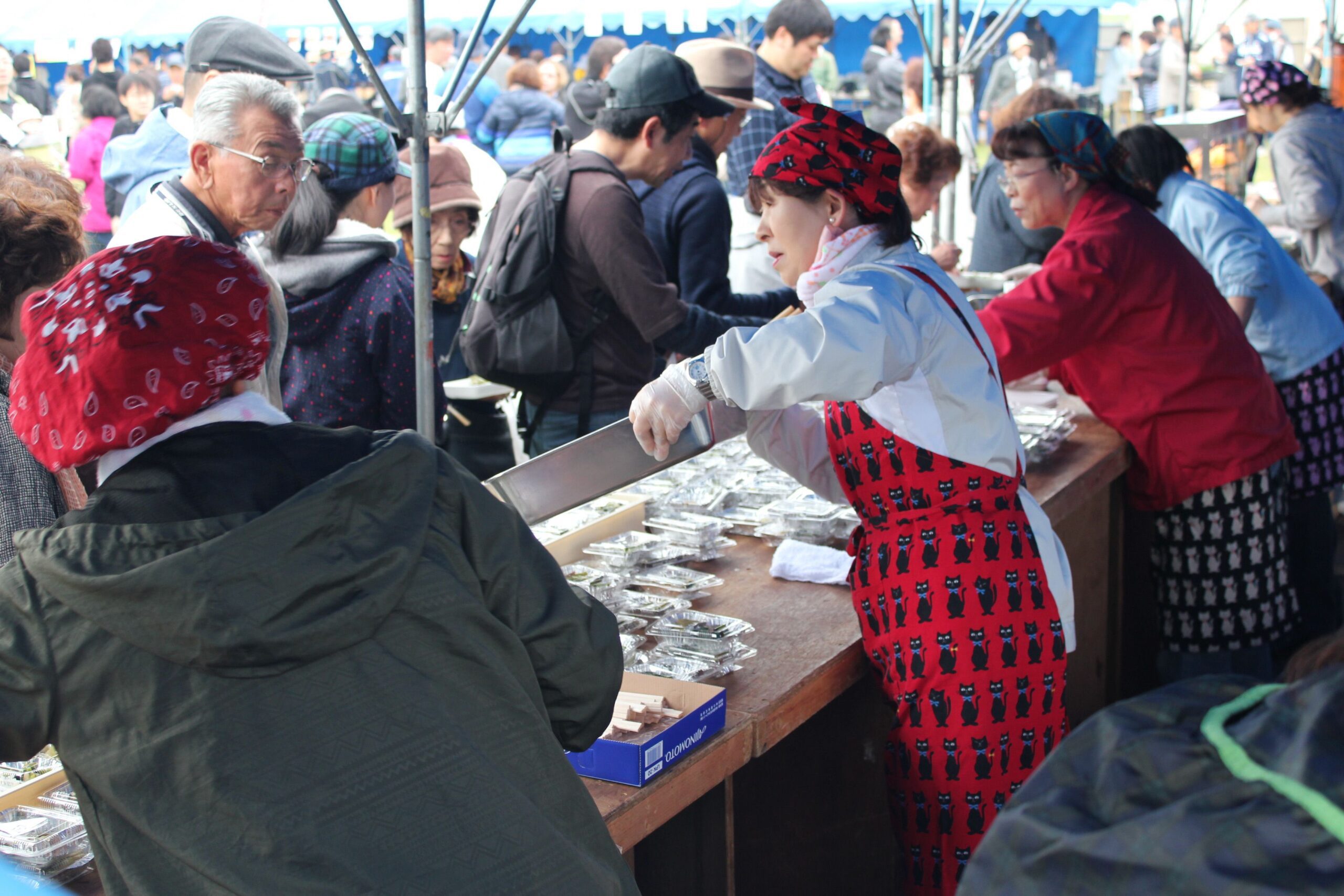 北海道の春イベントのおすすめ9位:富士見ヶ丘公園開き山菜まつり