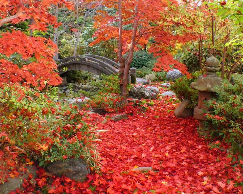 秋の函館旅行おすすめスポット30選　30位:梅村庭園