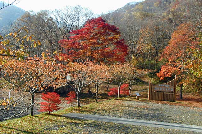 秋の函館旅行おすすめスポット30選　22位:川汲公園