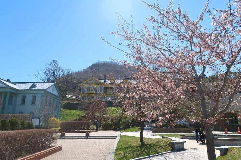 春の函館旅行おすすめスポット30選　26位:元町公園