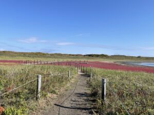 北見観光のおすすめスポットTOP30！