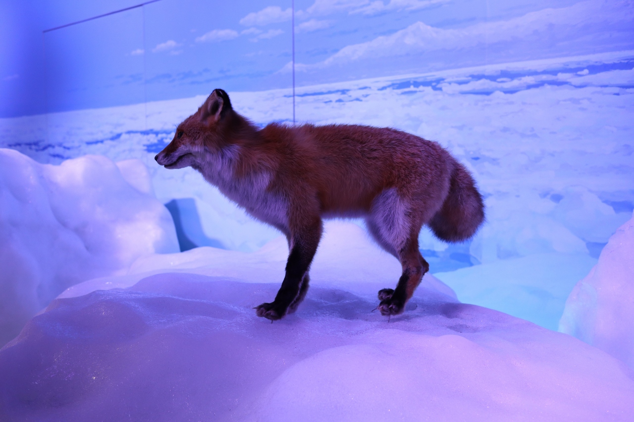 北海道の博物館のおすすめ20位　8位:オホーツク流氷館