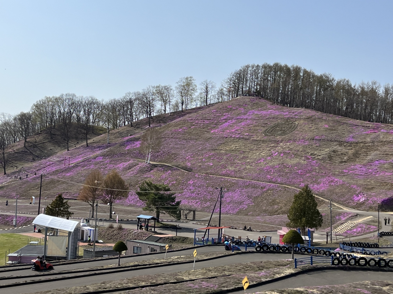 北海道の春イベントのおすすめ8位:ひがしもこと芝桜祭り
