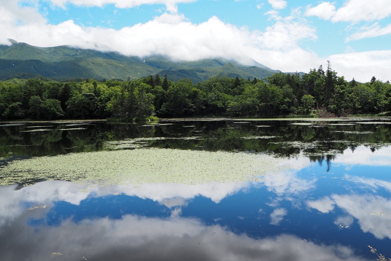 北海道の湖のおすすめ20選　10位:知床五湖