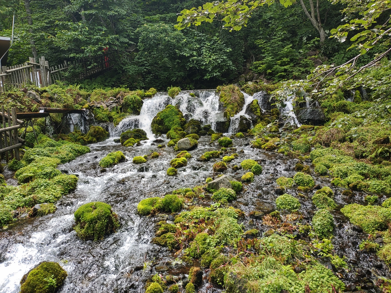 北海道の避暑地のおすすめ25位　3位:ふきだし公園