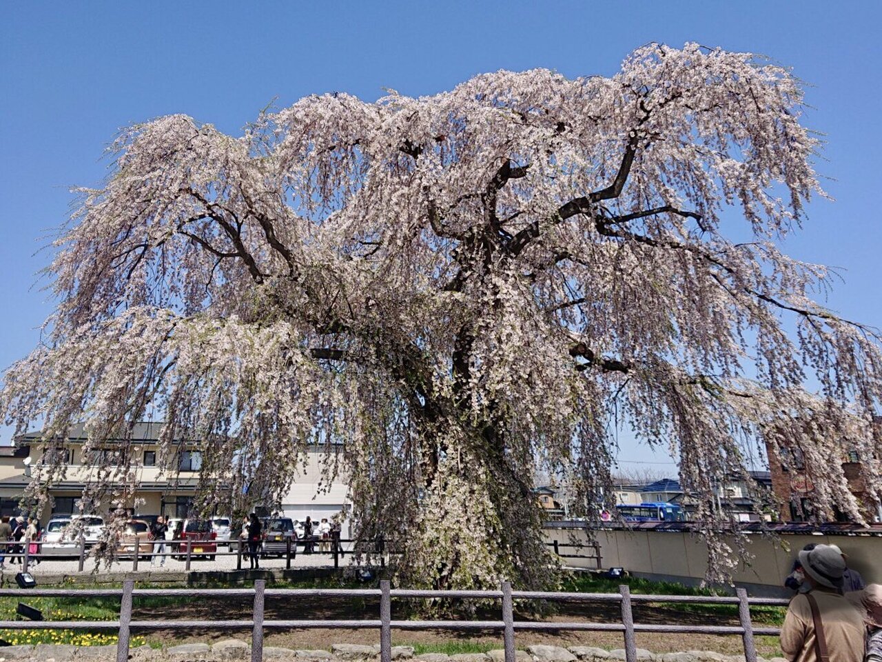 春の函館旅行おすすめスポット30選　30位:法亀寺