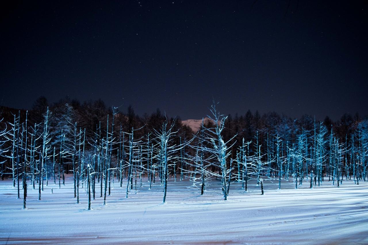 北海道の冬イベントのおすすめ20選　20位:青い池