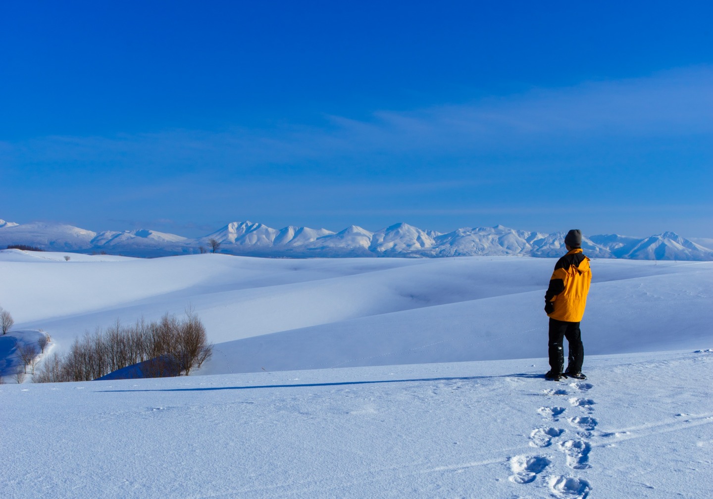 北海道の雪景色のおすすめスポット1位:美瑛の丘