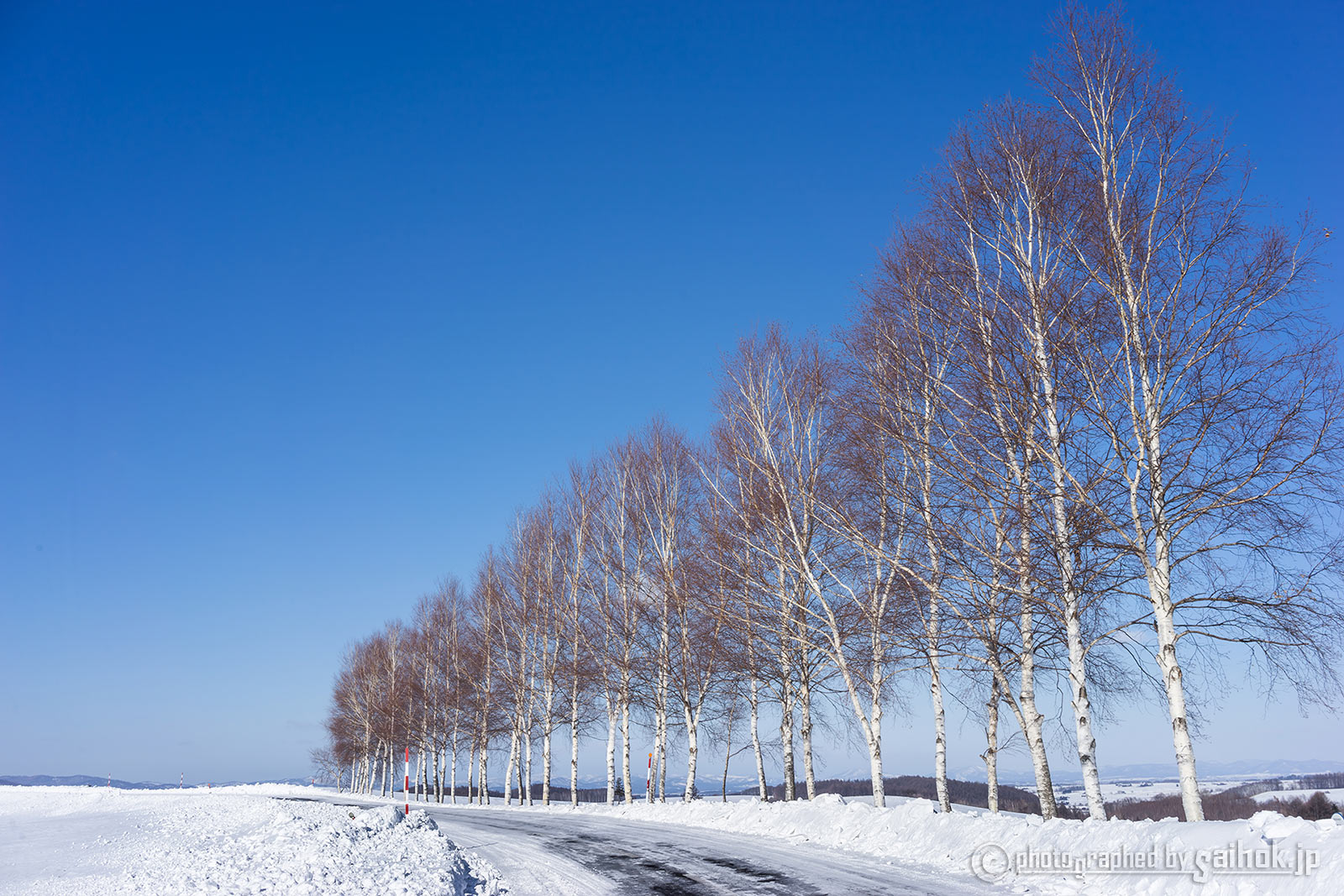 北海道の雪景色のおすすめスポット20選　1位:美瑛の丘