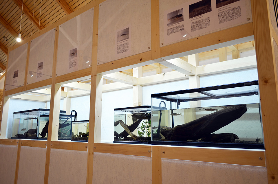 北海道の博物館のおすすめ20位　14位:ひがし大雪自然館