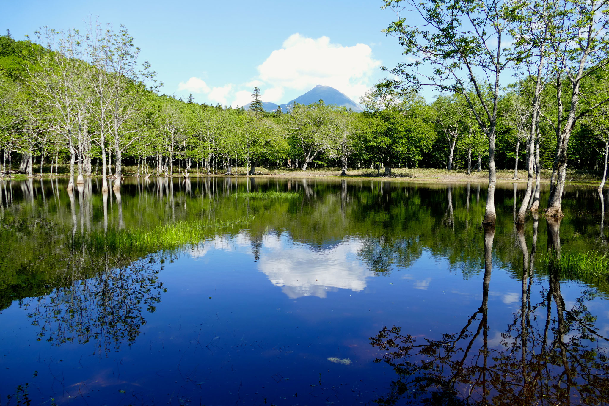 北海道観光の世界遺産・知床のおすすめスポット20選：19位:ポンホロ沼