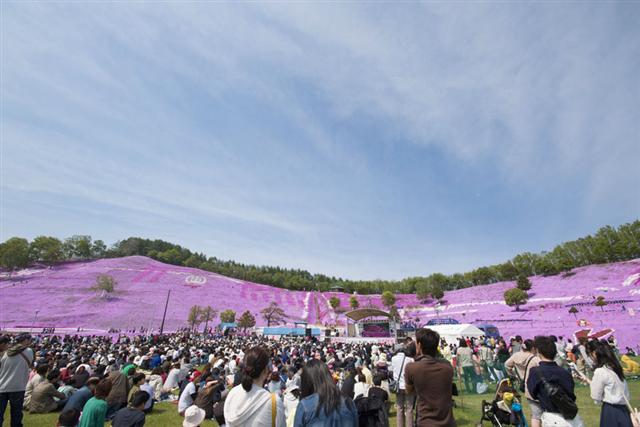 北海道の春イベントのおすすめ20選　8位:ひがしもこと芝桜祭り