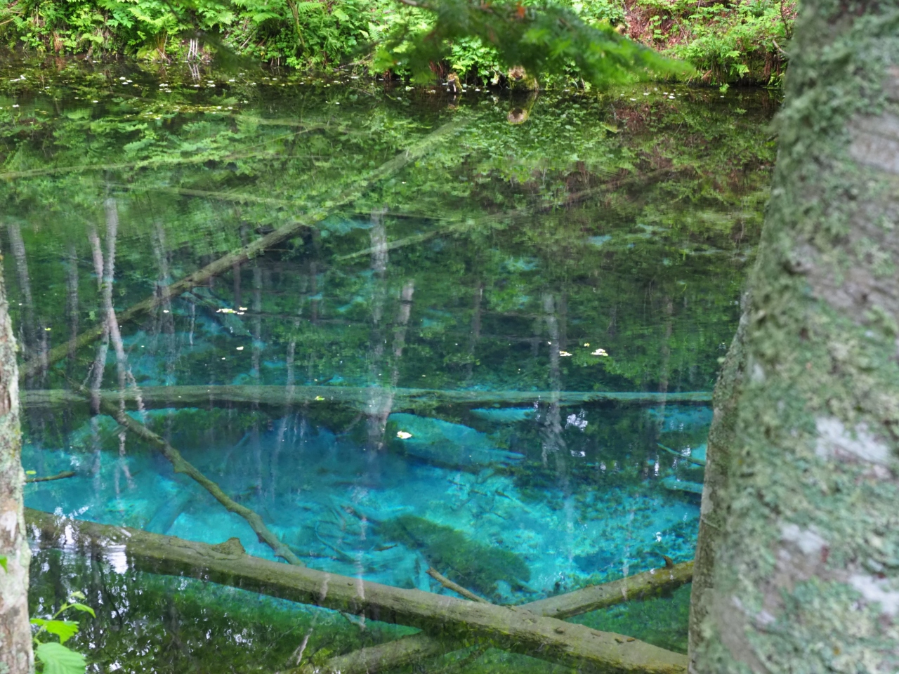 北海道観光の世界遺産・知床のおすすめスポット20選：14位:神の子池