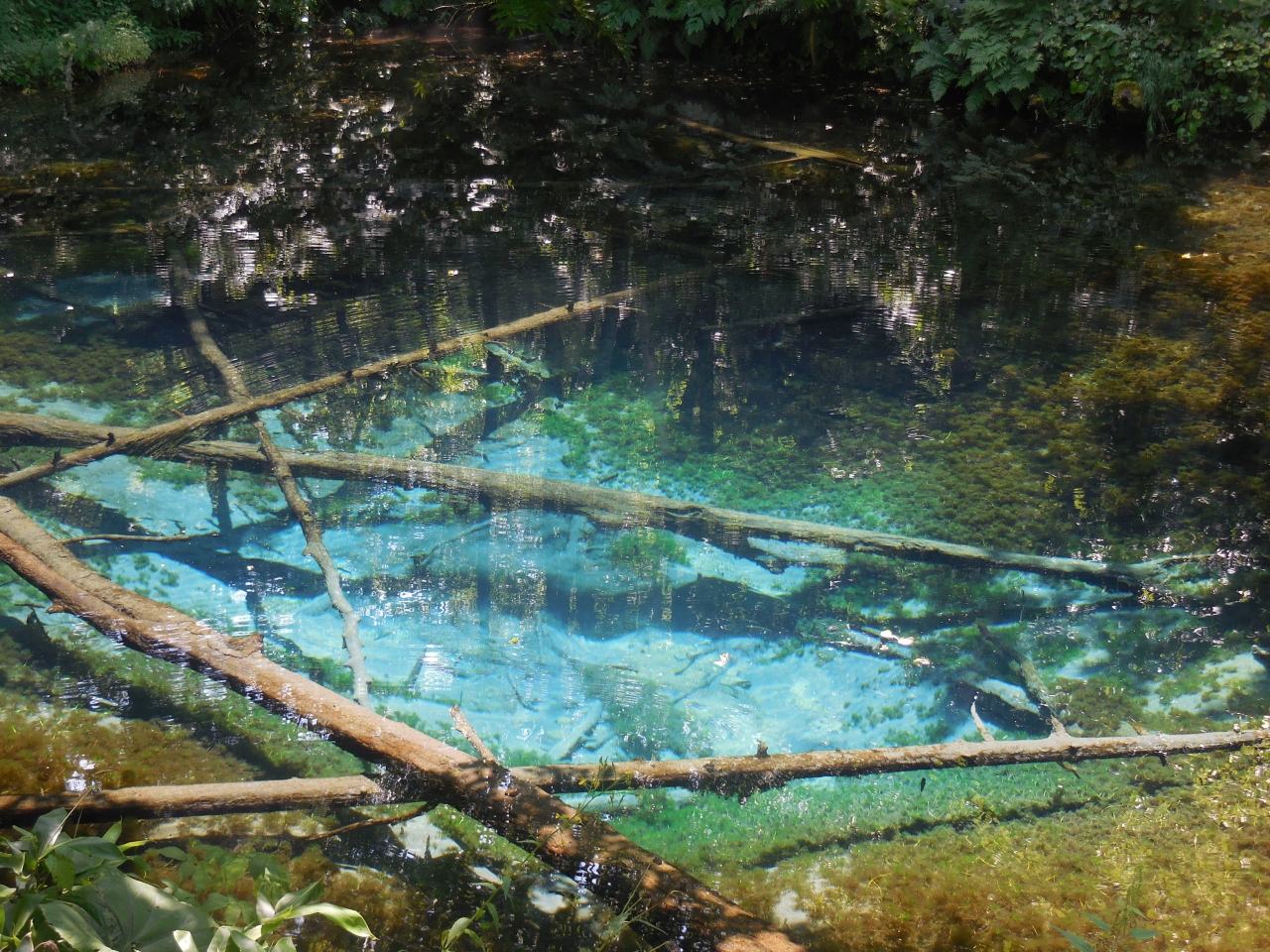 北海道の避暑地のおすすめ25位　5位:神の子池