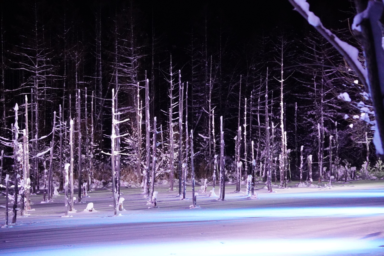 北海道の雪景色のおすすめスポット9位:白金青い池