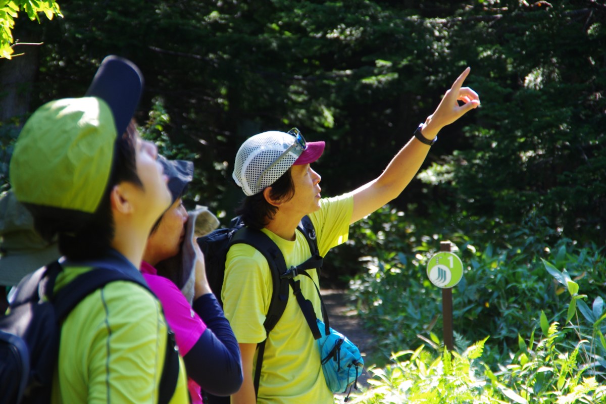 北海道観光の世界遺産・知床のおすすめスポット20選　3位:フレペの滝