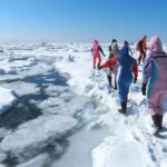 北海道の流氷ツアーTOP6!