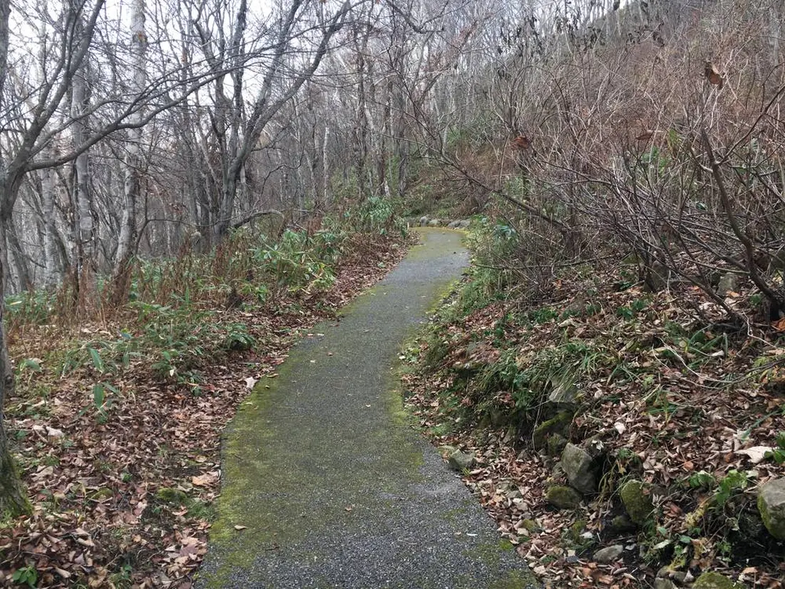 北海道観光の藻岩山の楽しみ方6選　4位:自然学習歩道