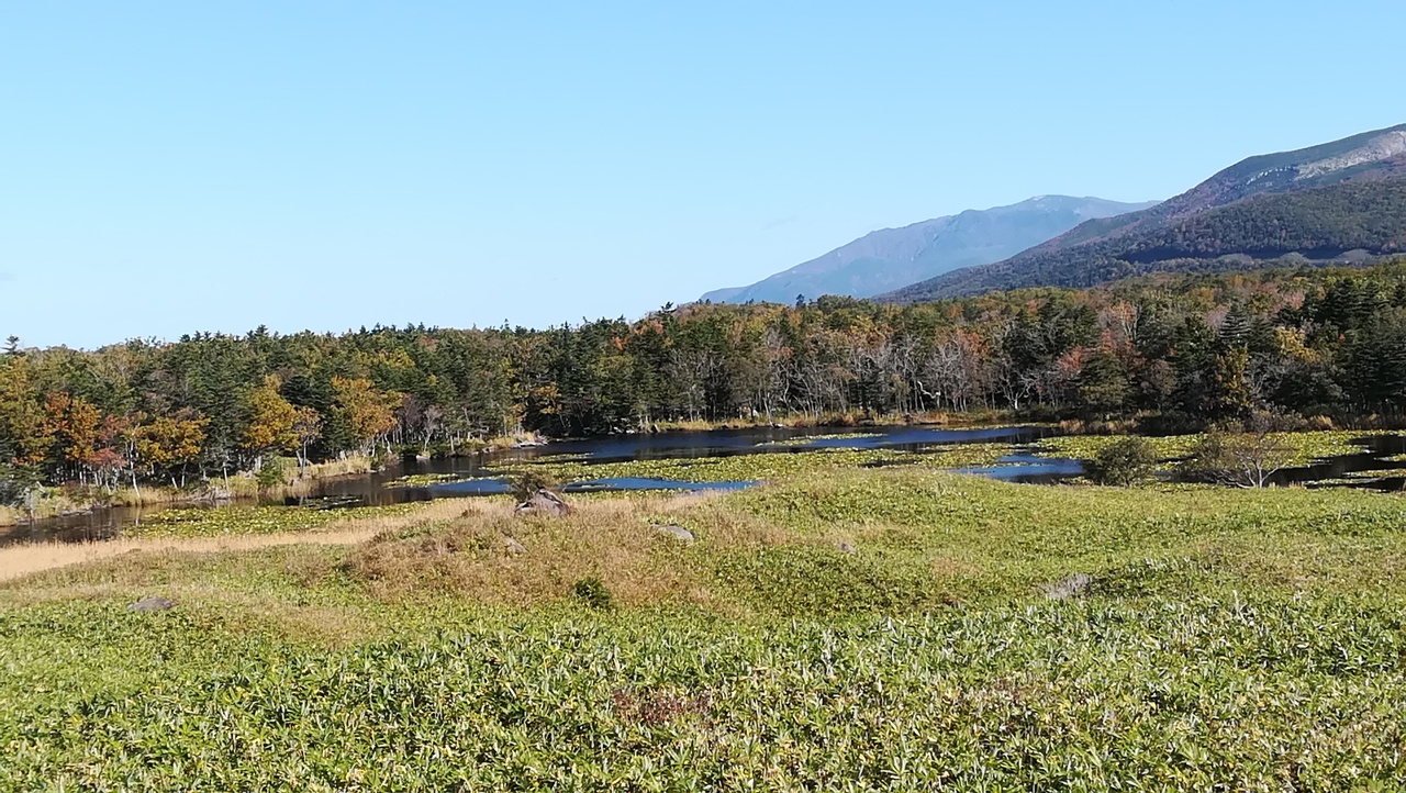 北海道観光の魅力的なおすすめスポット20選　20位:知床国立公園
