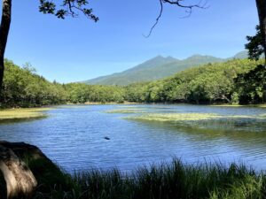 北海道旅行はいつがおすすめ？各シーズンの見どころをご紹介！