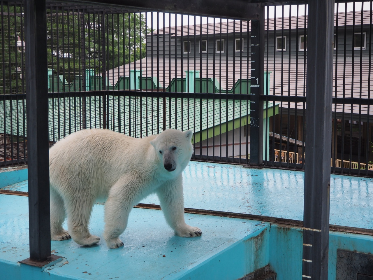 北海道の動物園のおすすめ17選　6位:おびひろ動物園