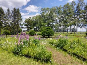 帯広観光のコースTOP7！