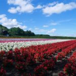 北海道観光のモデルコースTOP20!