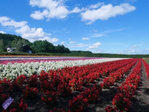 北海道観光のモデルコースTOP20！