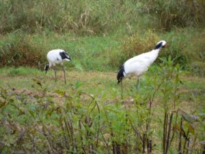 釧路観光のおすすめコースTOP20！
