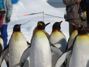 旭川観光のモデルコースTOP12！