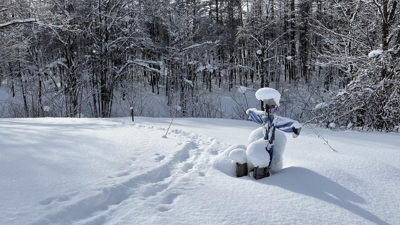 北海道観光のモデルコースおすすめ20選　5位:見たことのない絶景に息をのむ！冬こそ行きたい旭川・美瑛の旅