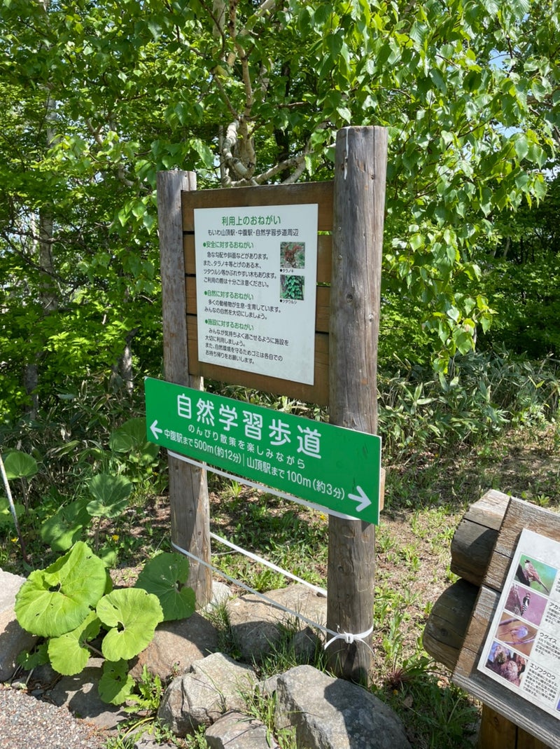 北海道観光の藻岩山の楽しみ方6選　4位:自然学習歩道