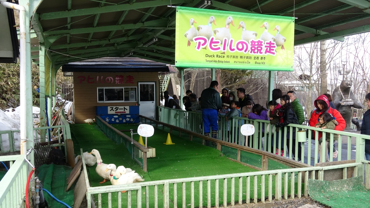 北海道の動物園のおすすめ17選　13位:のぼりべつクマ牧場