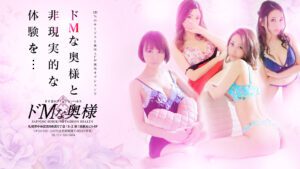 北海道のヘルスTOP20！