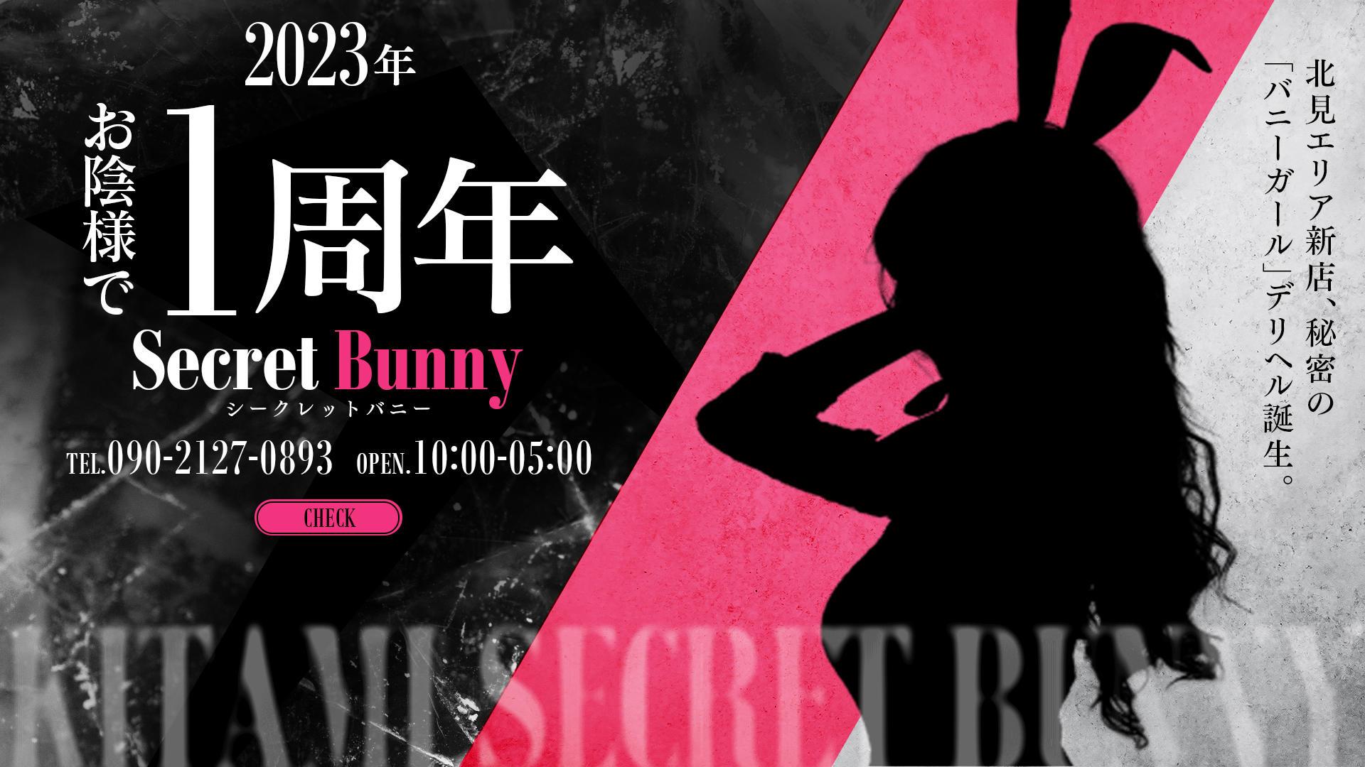 北海道のイメクラのおすすめ20選　17位:Secret Bunny -シークレットバニー