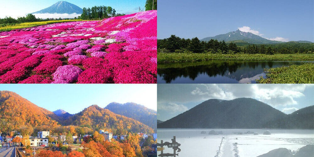 北海道の季節別の見所をご紹介！