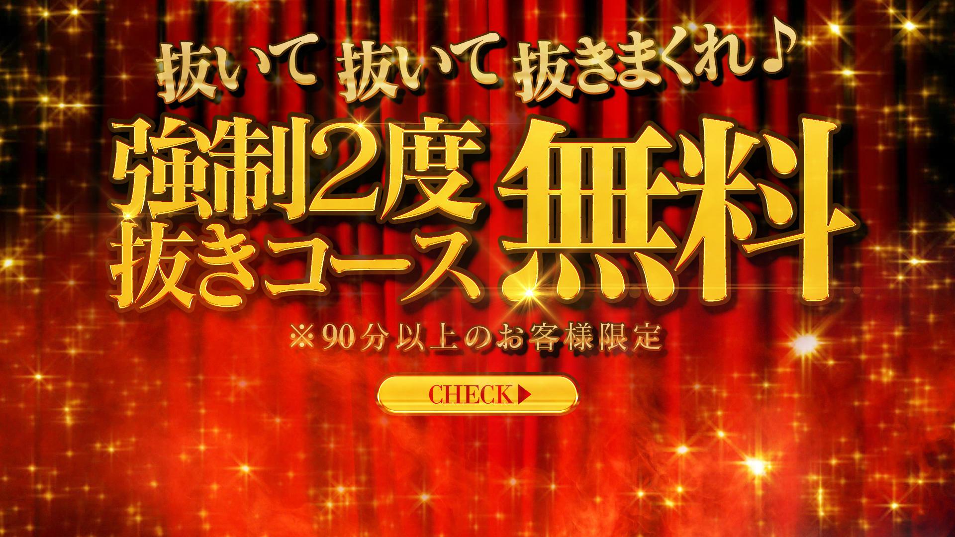 小樽のオナクラのおすすめ20選　1位:宅配おねーちゃんおかあさんおばあちゃん