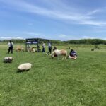 北海道の牧場TOP20!【2025年】